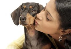 Фото на тему «Почему нельзя целовать собак?»