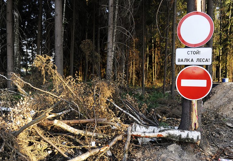 Как быстро рубить деревья в the forest