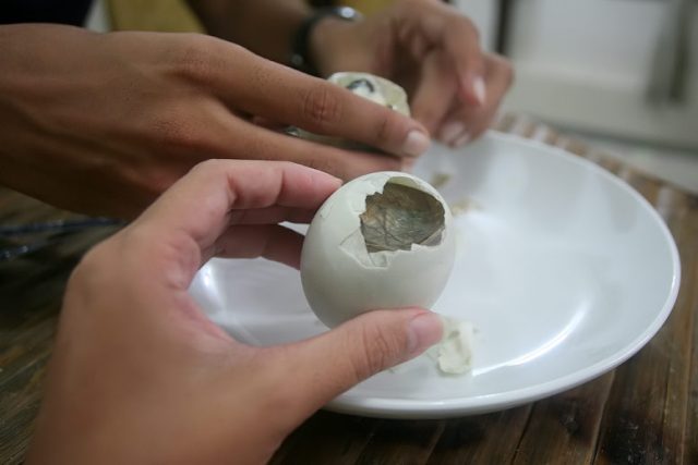 Яйца индоутки польза и вред когда несутся индоутки