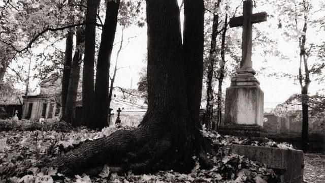 Фото на тему «Почему нельзя ездить на кладбище в воскресенье?»