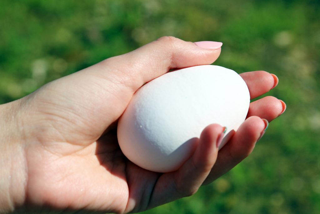 Фото на тему «Почему нельзя раздавить сырое яйцо одной рукой?»
