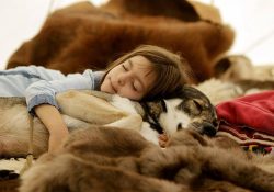 Фото на тему «Почему нельзя спать с животными?»